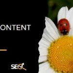 Undvik duplicate content med canonical